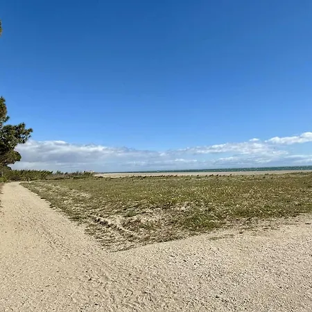 شقة Cosy Avec Terrasse Et Acces Direct Plage, - Fr-1-225-595 أرجيليه- سور- مير