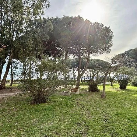 Cosy Avec Terrasse Et Acces Direct Plage, - Fr-1-225-595 * أرجيليه- سور- مير