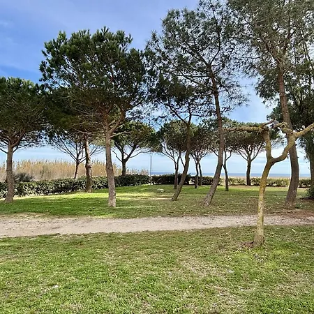 Cosy Avec Terrasse Et Acces Direct Plage, - Fr-1-225-595 Apartment *